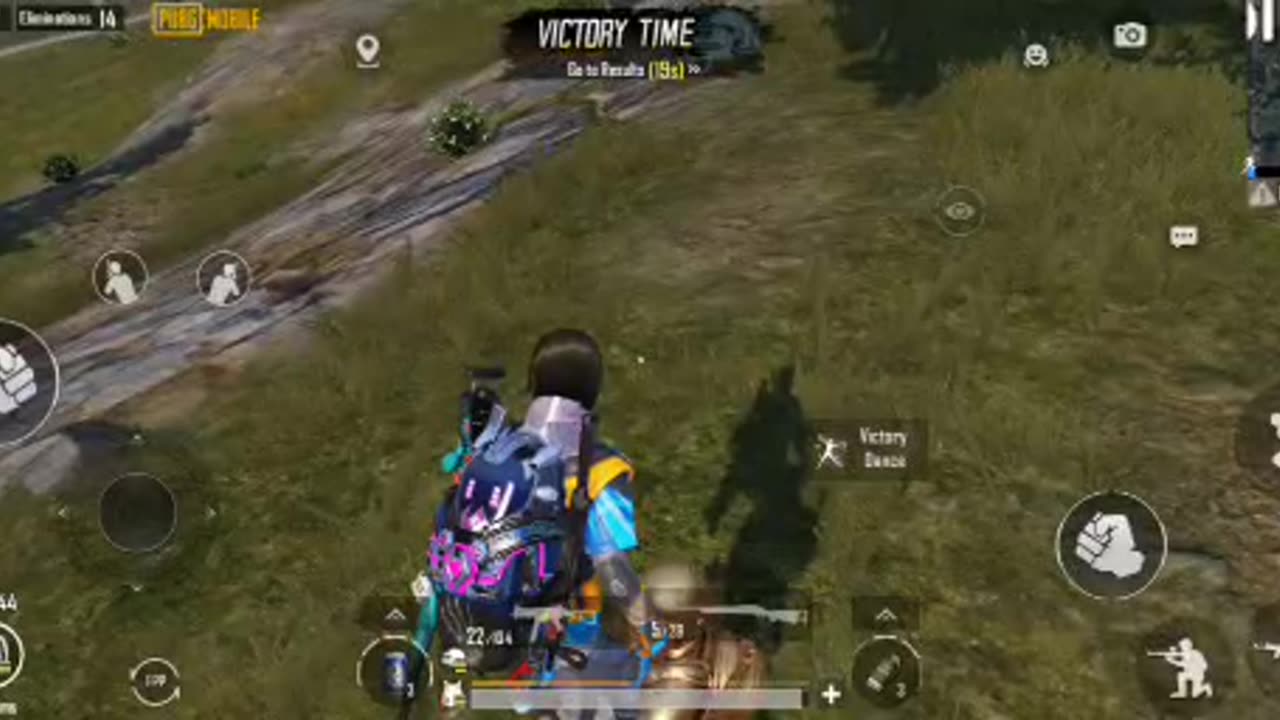 14 kill with chicken Dinner 🫣