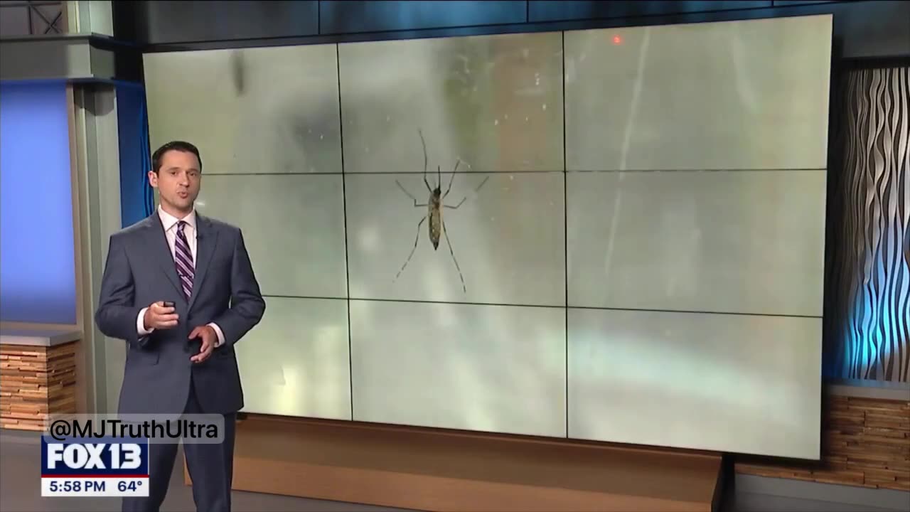 SHOCKING: Mosquito Lockdowns Are In Effect In Massachusetts