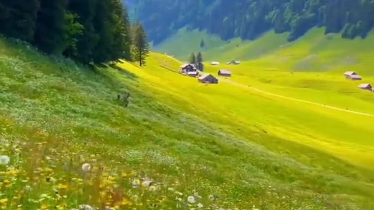 amazing video