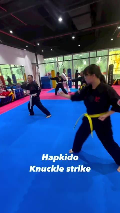 Hapkido