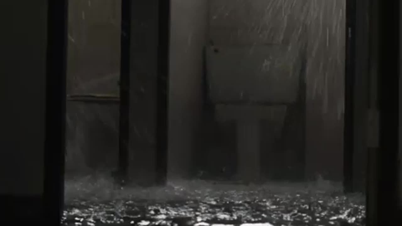 The Flood - Movie
