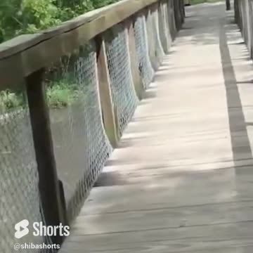 How This Bridge will Increase Your Faith 😁