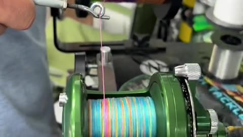 Everyone loves spolling line