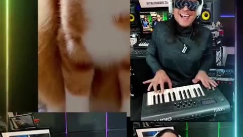 Singing cat. Funny cat videos 🥰 #5