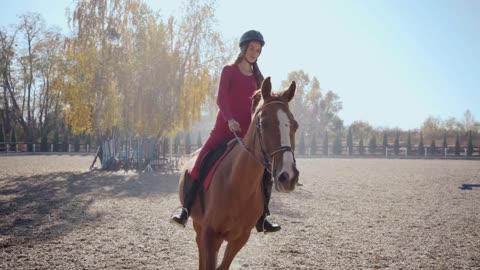 Young Caucasian girl in pink clothes and horse riding helmet jumps the barrier