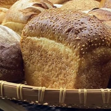 Wealth Building Bootcamp: Intensive Training for Success