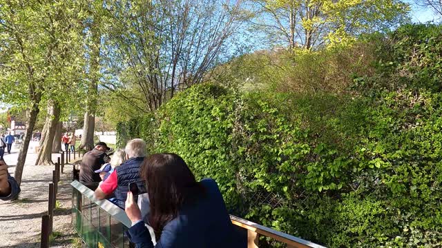 The Steam train arrives to Stein am Rhein