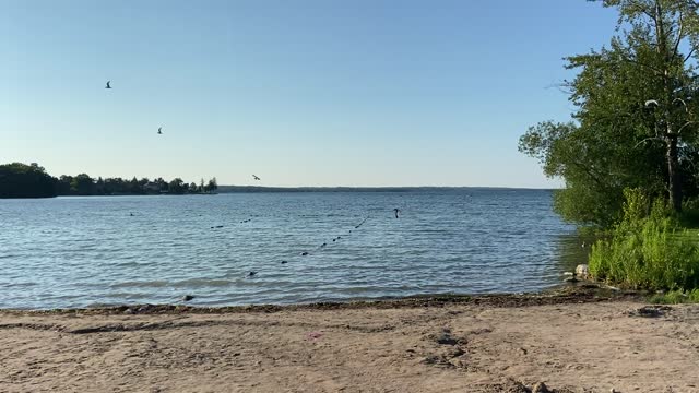 Innisfil Beach Park Ontario 6