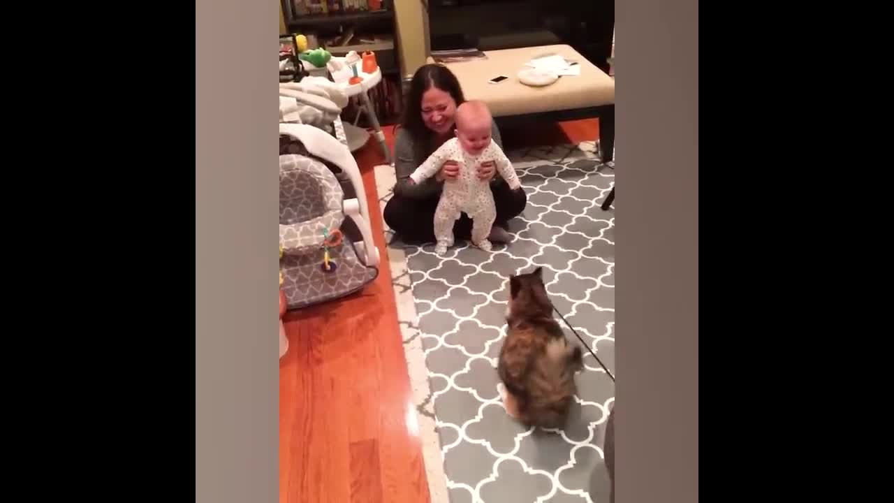 The baby and the kitten are very happy to play together