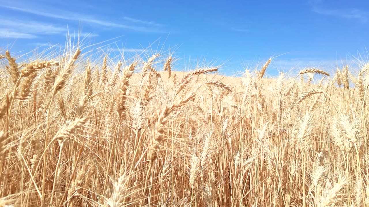 Poetry - Here is Your Canvas