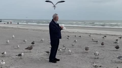 Snack Attack: Birds Make Off with Man's Treats! 🦅🍔