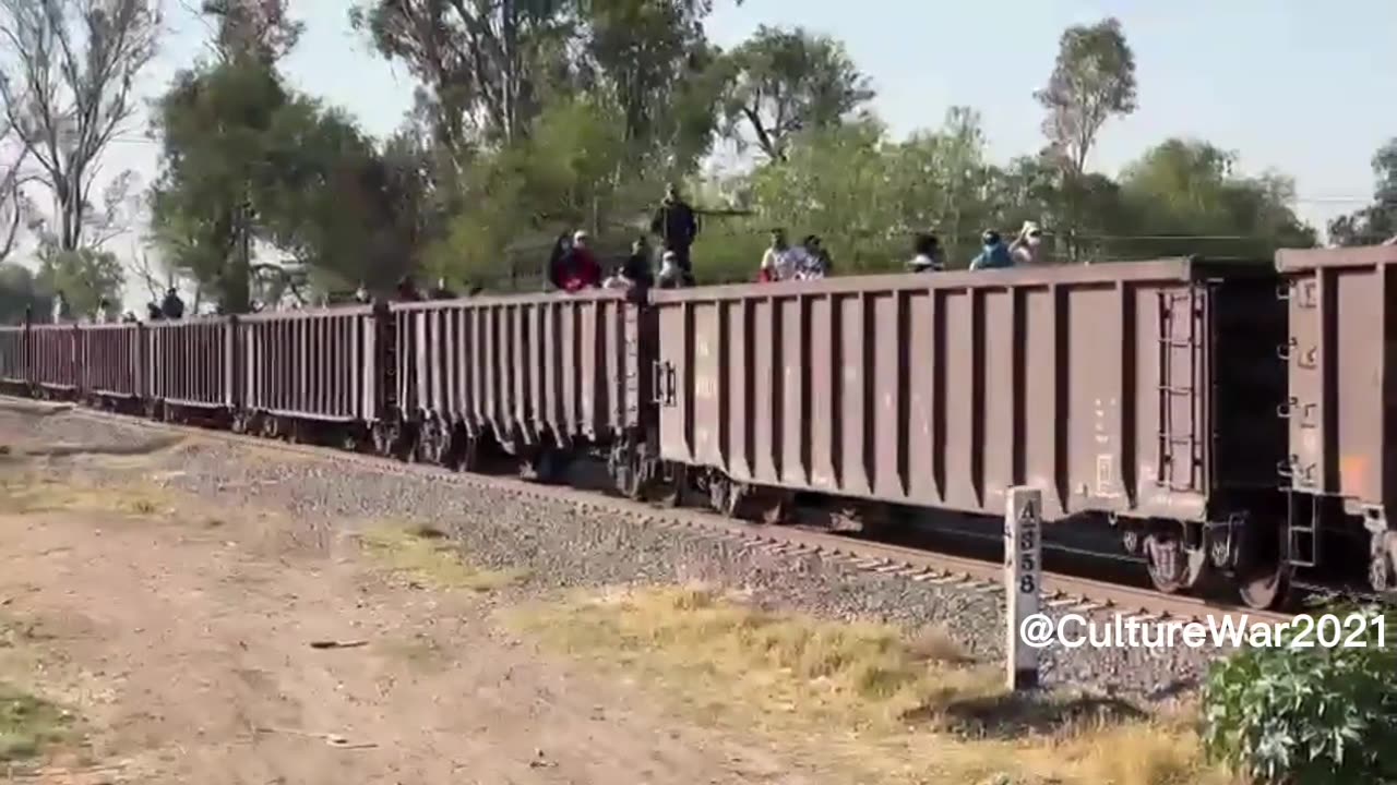 🇲🇽 Mexican Trains are back up and RUNNING 🤬 📢 illegals are now sneaking onto 🚂 TRAINS