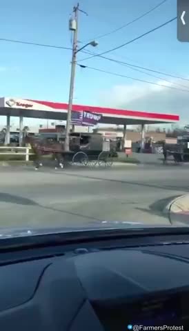 Amish support for Trump