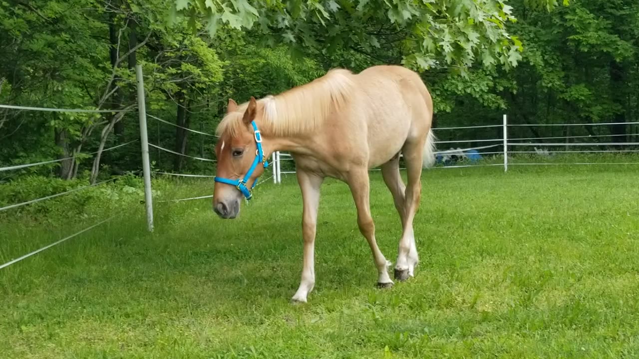 Feeling better 5/17/23