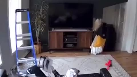 Grounded forever