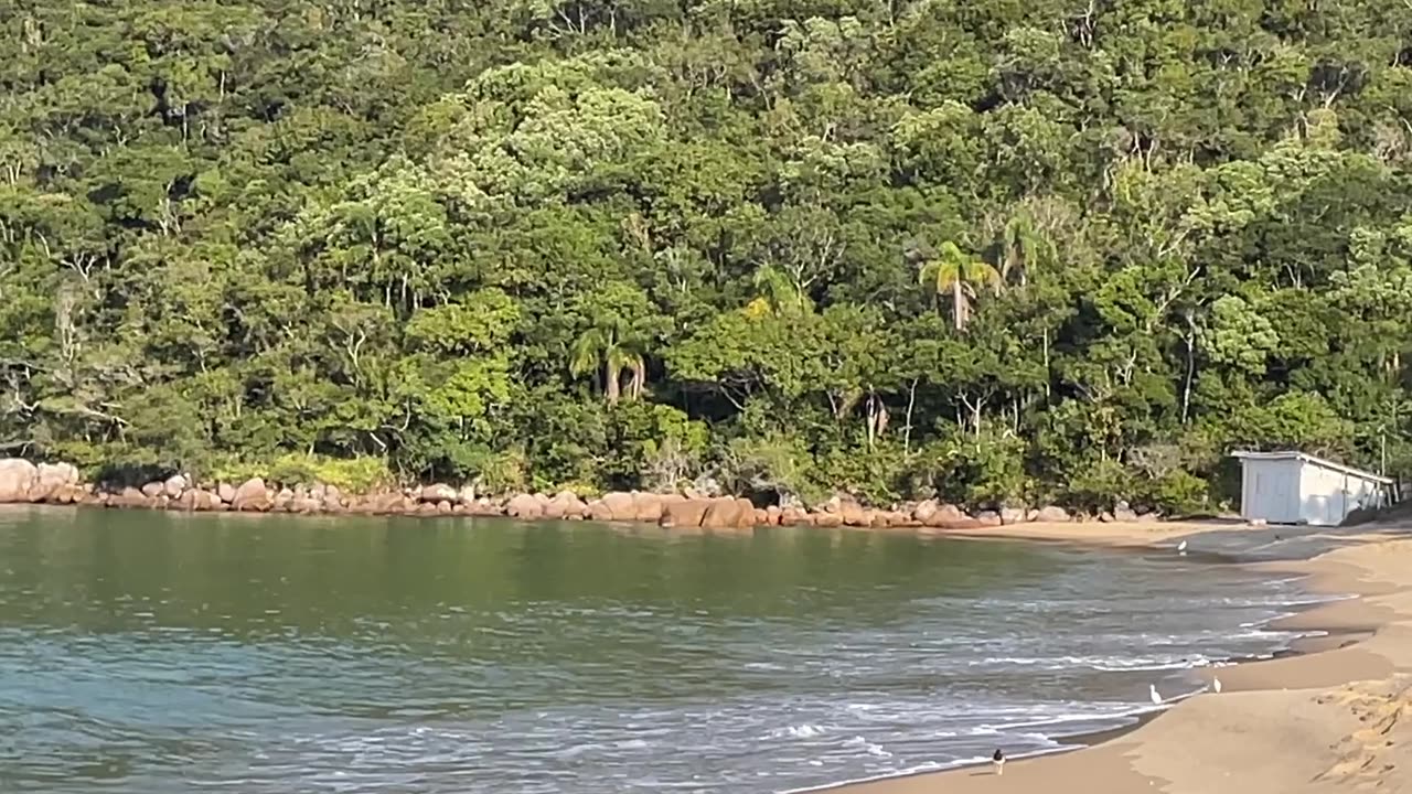 10/10 - Baia dos Golfinhos | Governador Celso Ramos - SC