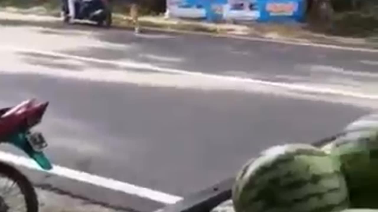 Funny sort videos