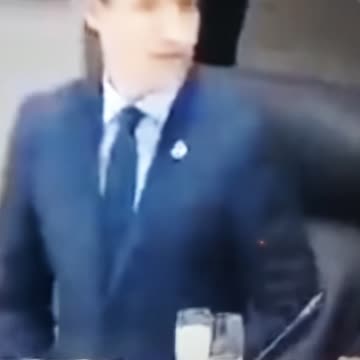 Honking at Trudeau comic