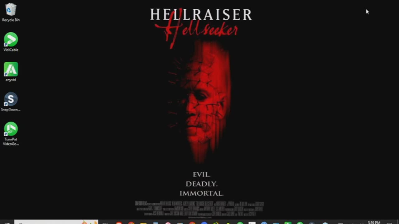 Hellraiser Hellseeker Review