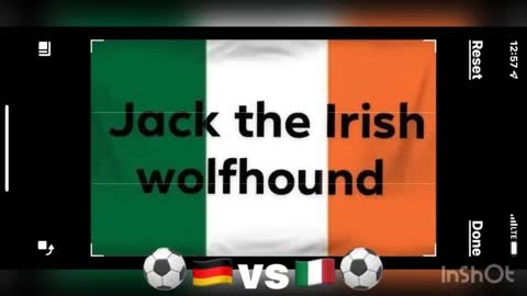 the best goal in 1992 by Jack the Irish wolfhound