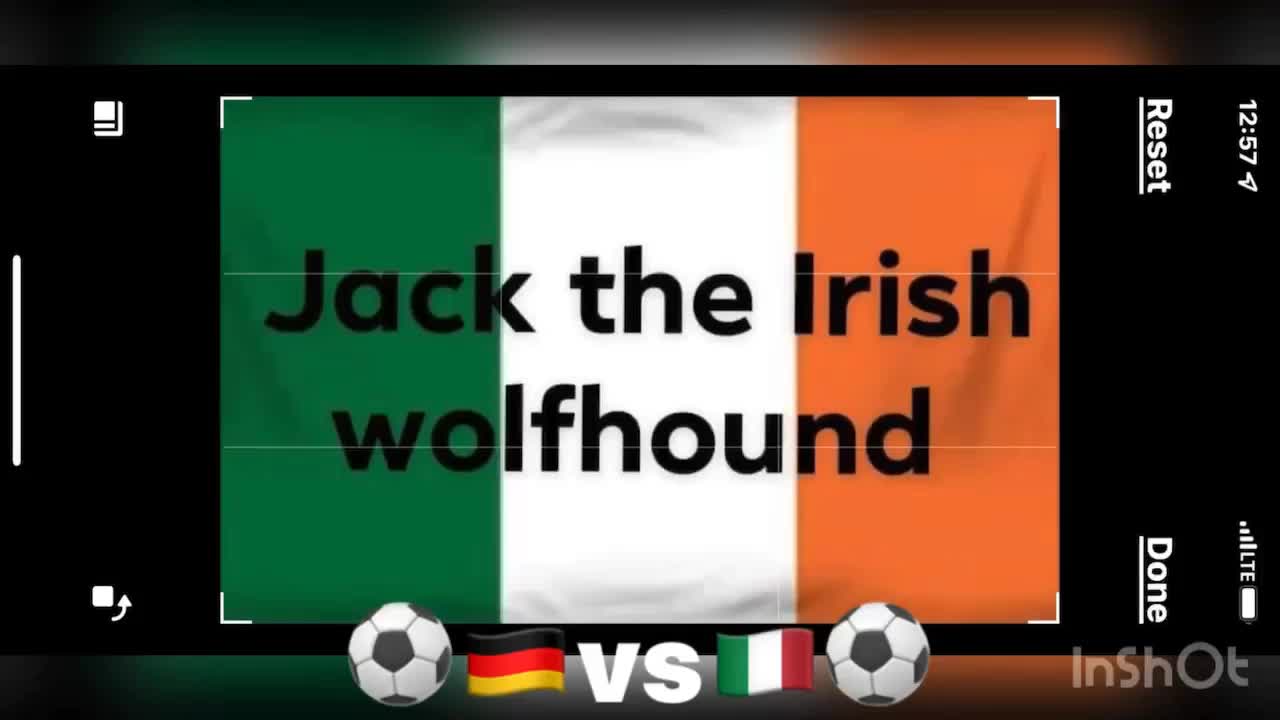 the best goal in 1992 by Jack the Irish wolfhound