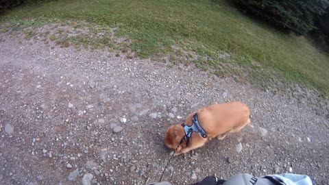 August 15th, 53º foggy morning, short walk North