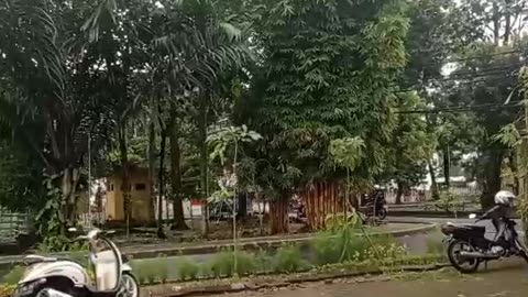 college life after school