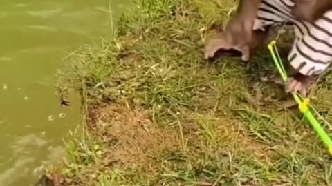 monkey fishing funny video #viralvideo #funnyvideo #comedyvideo