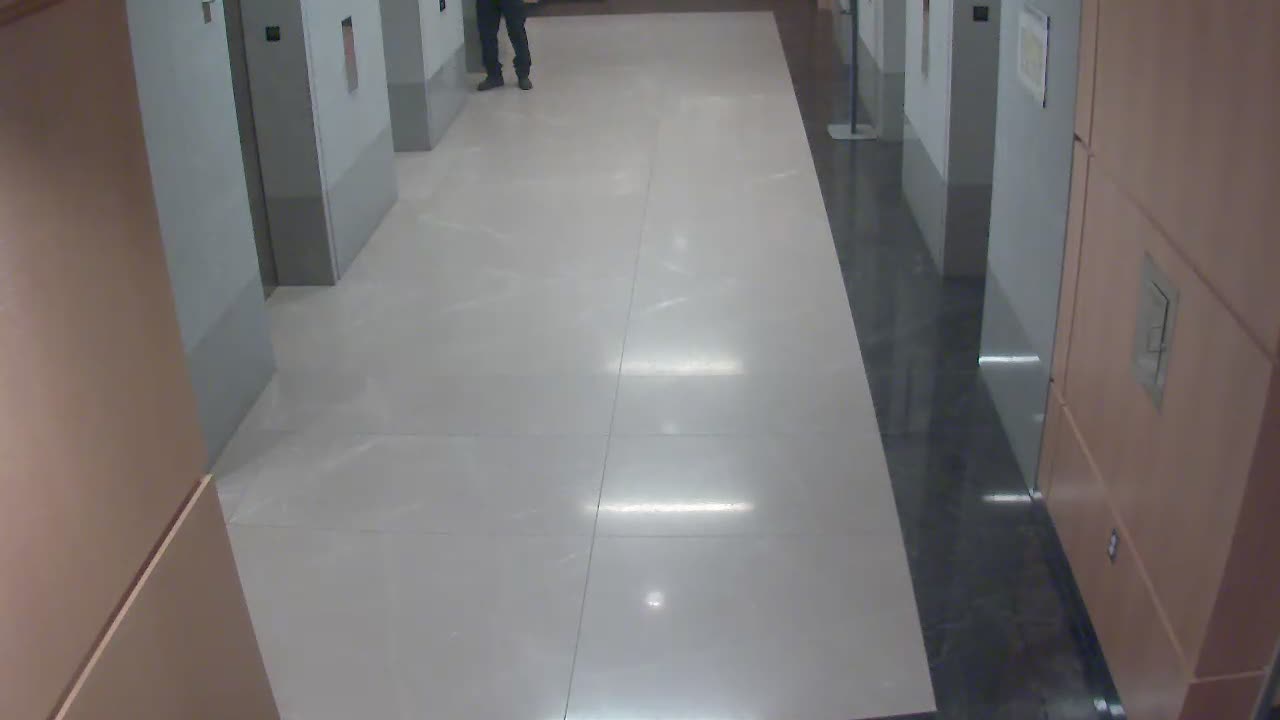 8488OHOB01ElevatorLobby_2021-01-05_16h00min01s427ms.mp4