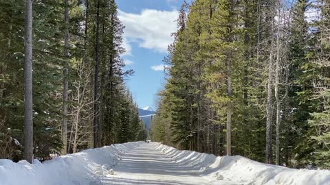 Snow on country roads