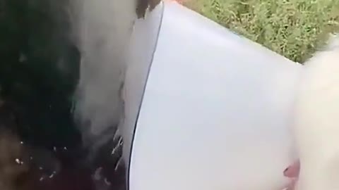 What are you doing?