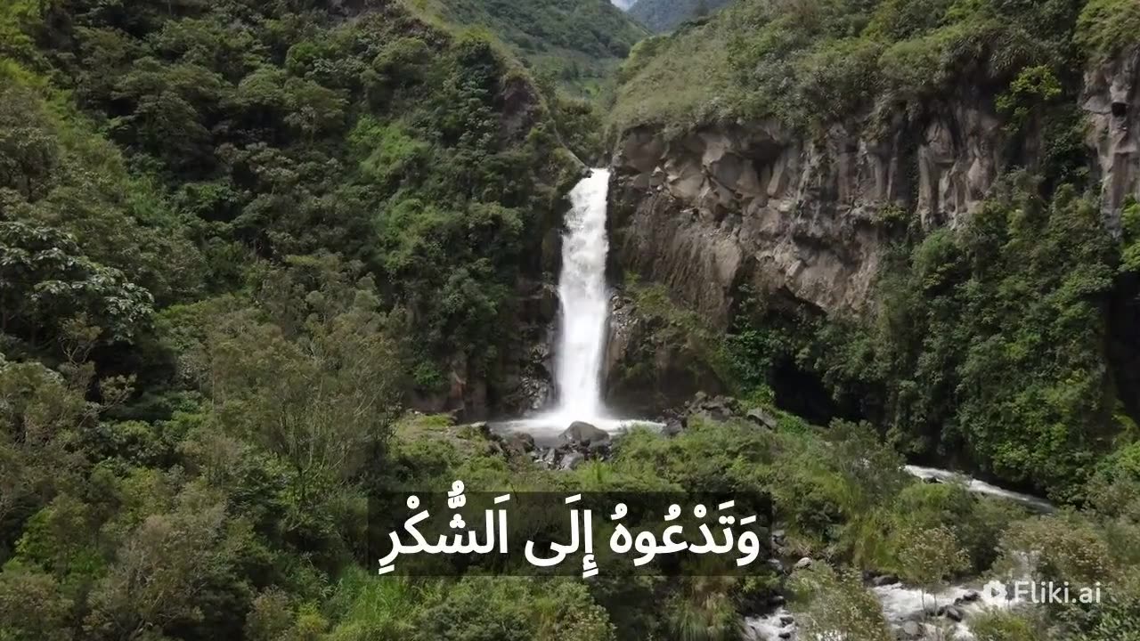 الجنة الجنة