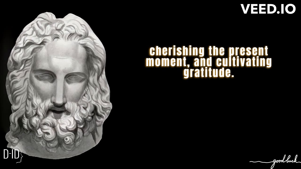 Stoic Life Lessons Men Learn Too Late In Life