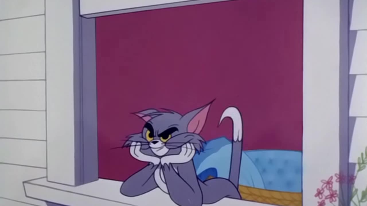 Tom&Jerry Episode 133 The Unshrinkable Jerry Mouse full watch