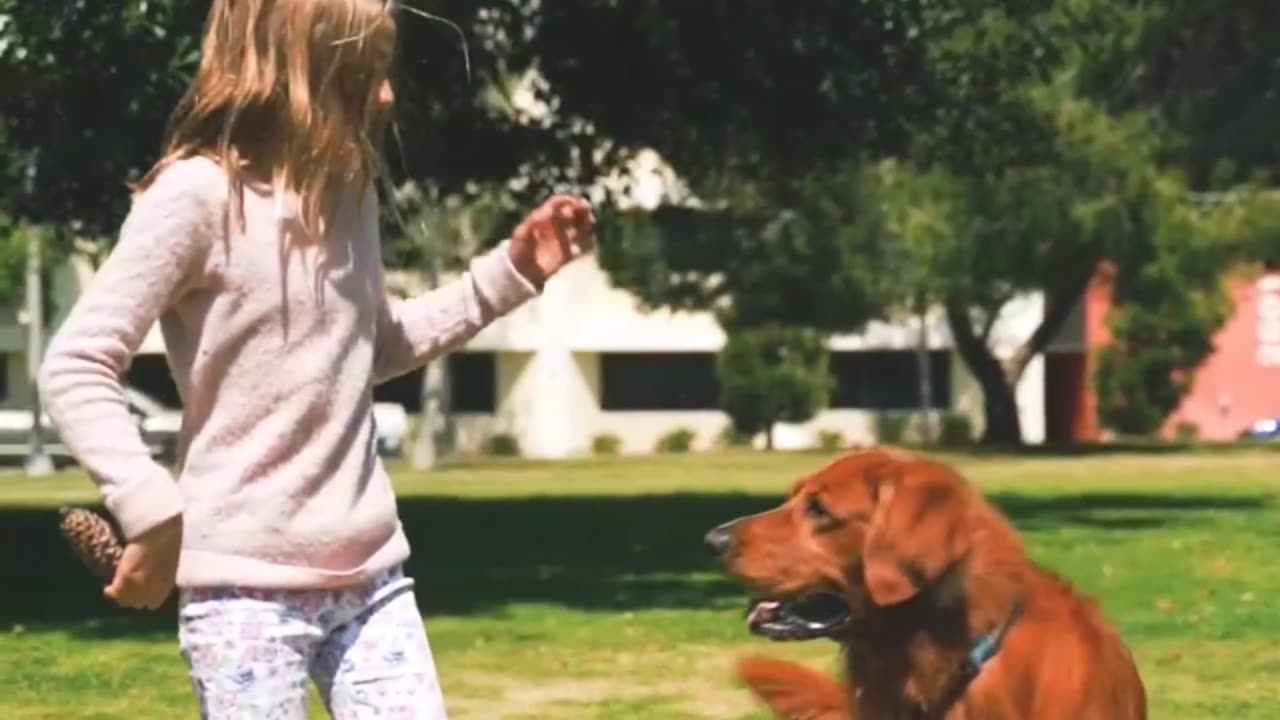 The Unbreakable Bond Between a Cute Girl and Her Loyal Dog | A cute dog fight with girl 😍💖