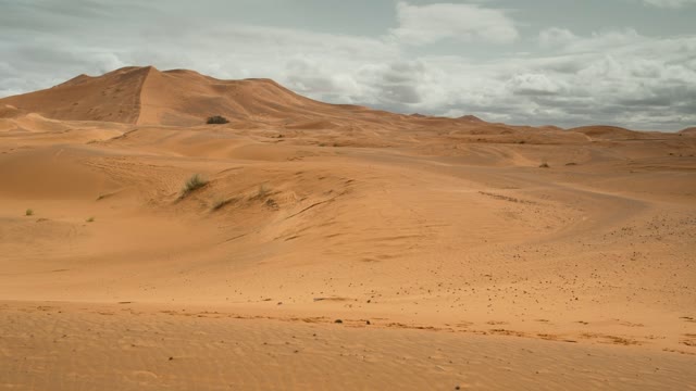 Desert caravan