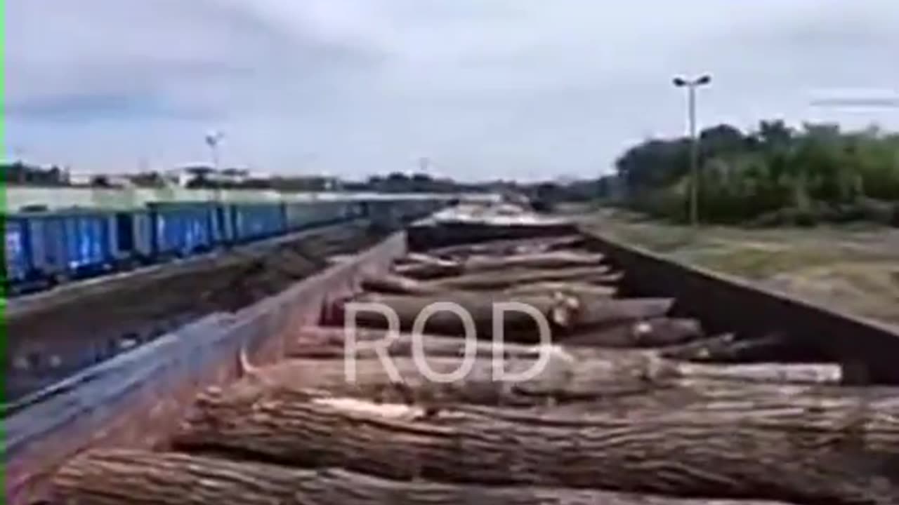 👆🧐Brzeg Opolskie