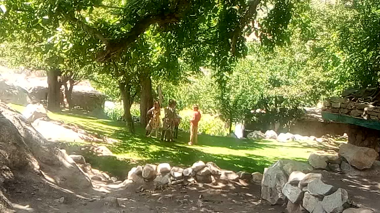 Buitifbull chitral gramchisma
