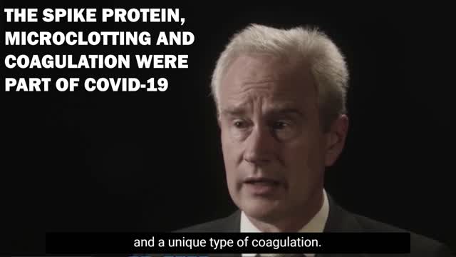 The Spike Protein, Microclotting and Coagulation Were Part of COVID-19