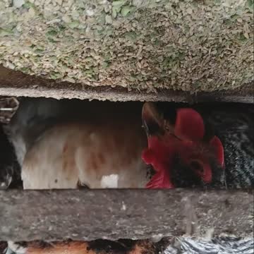 UPSIDEDOWN VIEW 😂