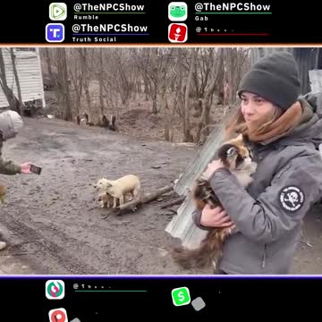 Russians Feed Dogs Left Behind In Ukraine