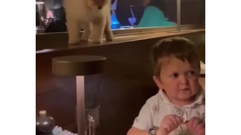 Hasbulla's reaction to Dog behind him