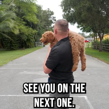 Labradoodle Scarf from Etsy