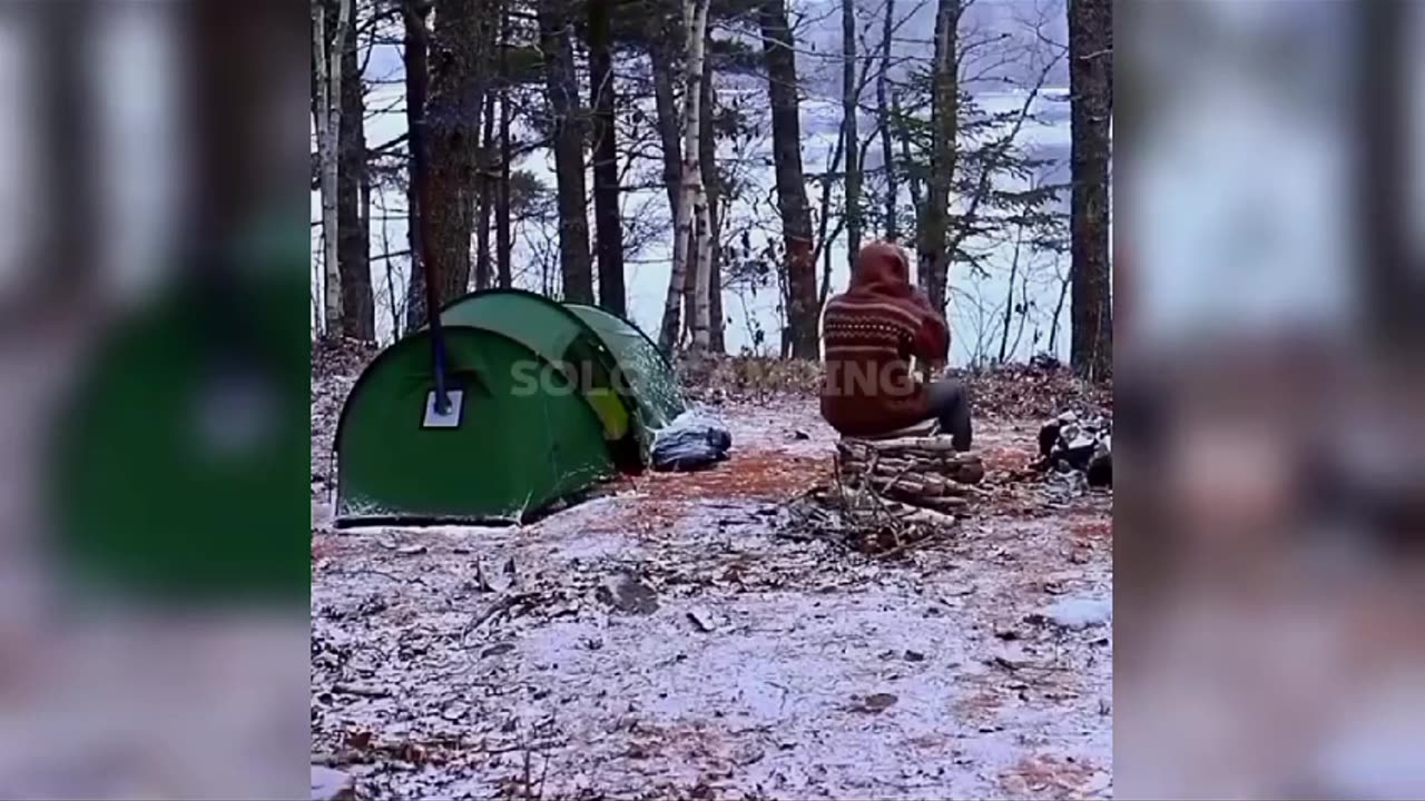 Make Friends With Nature! Exciting Solo Camping Adventure - Camping and Outdoors ASMR