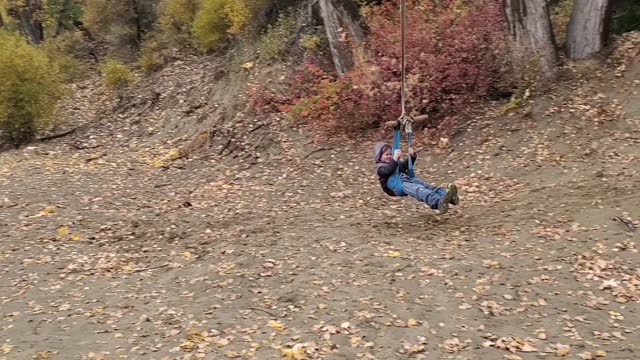 The swing that sent you to heaven