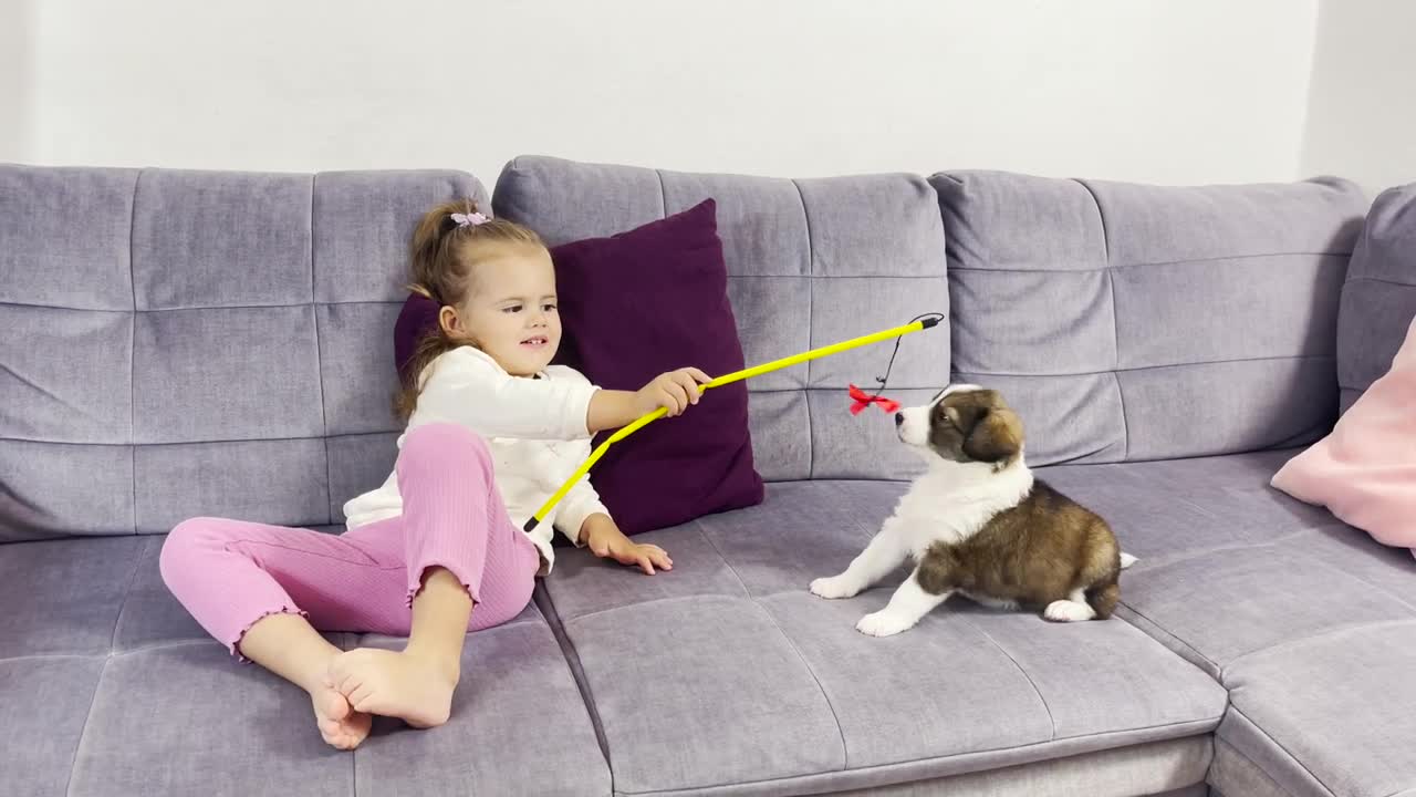 Adorable Baby Girl Trying to Befriend a Puppy!