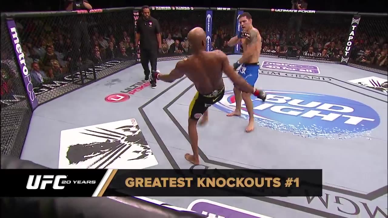 Top 20 Knockouts in UFC History