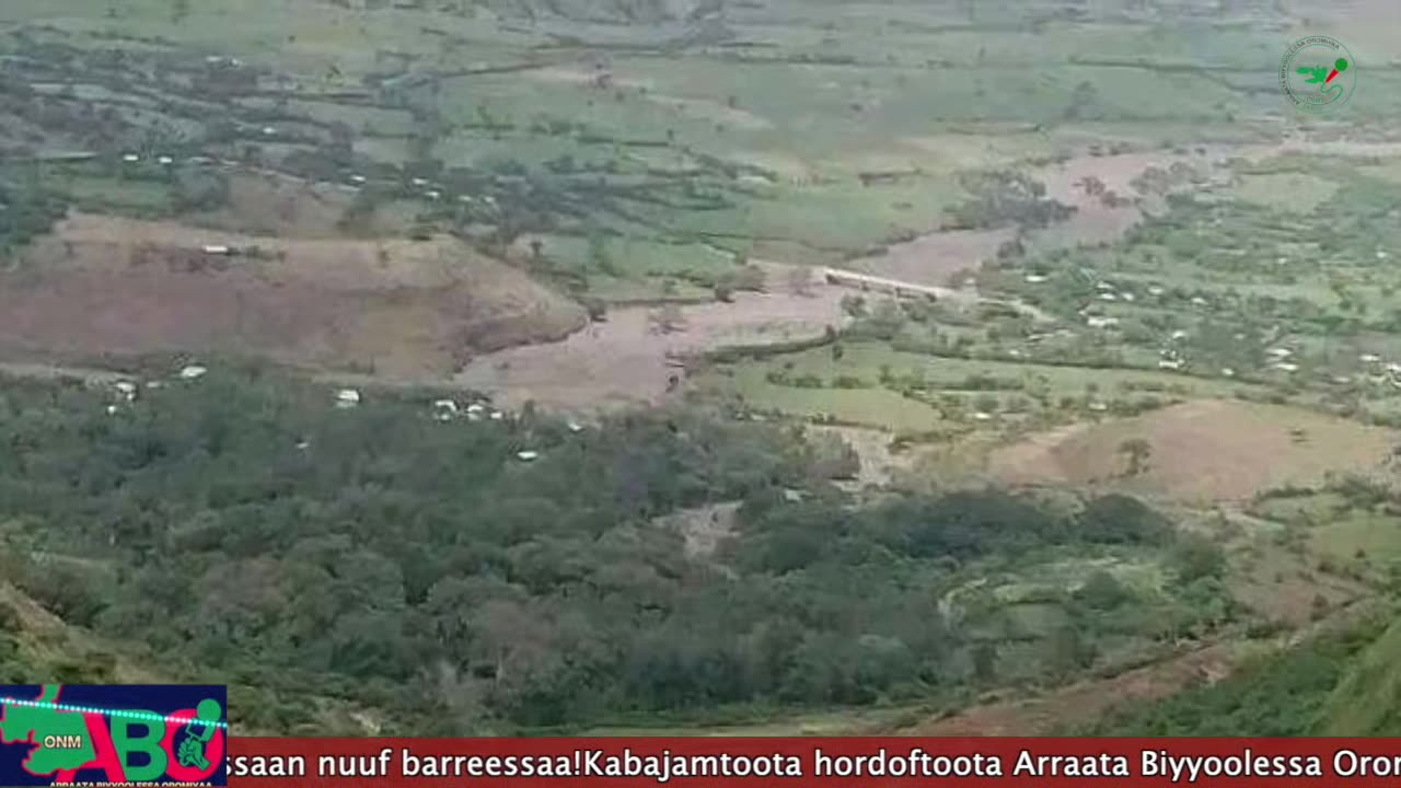 Oduu Waaree ONM-ABO Hagayya 13-2024 itti dhiyaadhaa!