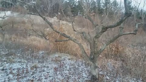 20181208_V3_S01(FlfaBSPwcss)좌파 커넥션 주범 태양광이 왠말이냐_