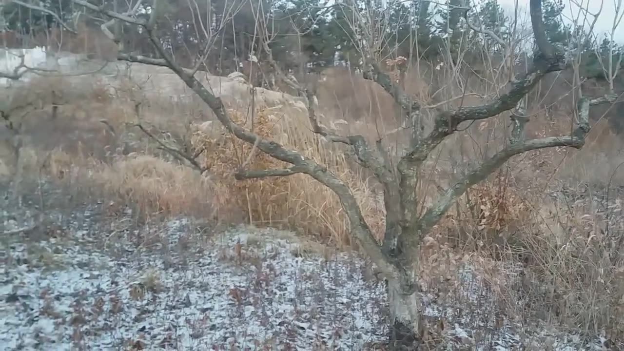 20181208_V3_S01(FlfaBSPwcss)좌파 커넥션 주범 태양광이 왠말이냐_